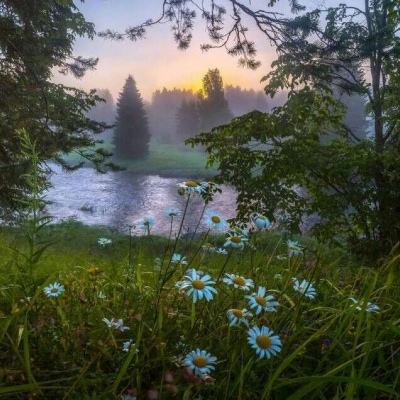 九游会·J9游戏截图